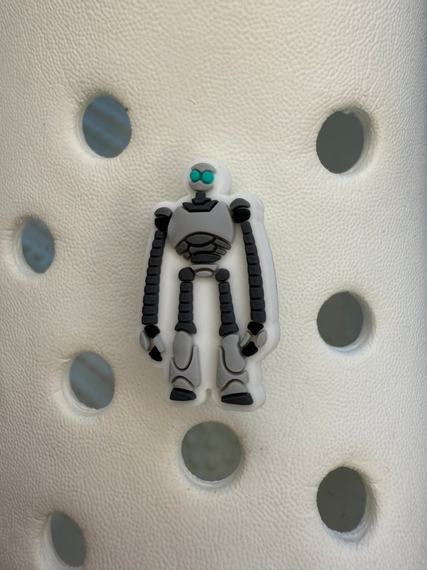 The wild robot shoe charm collection