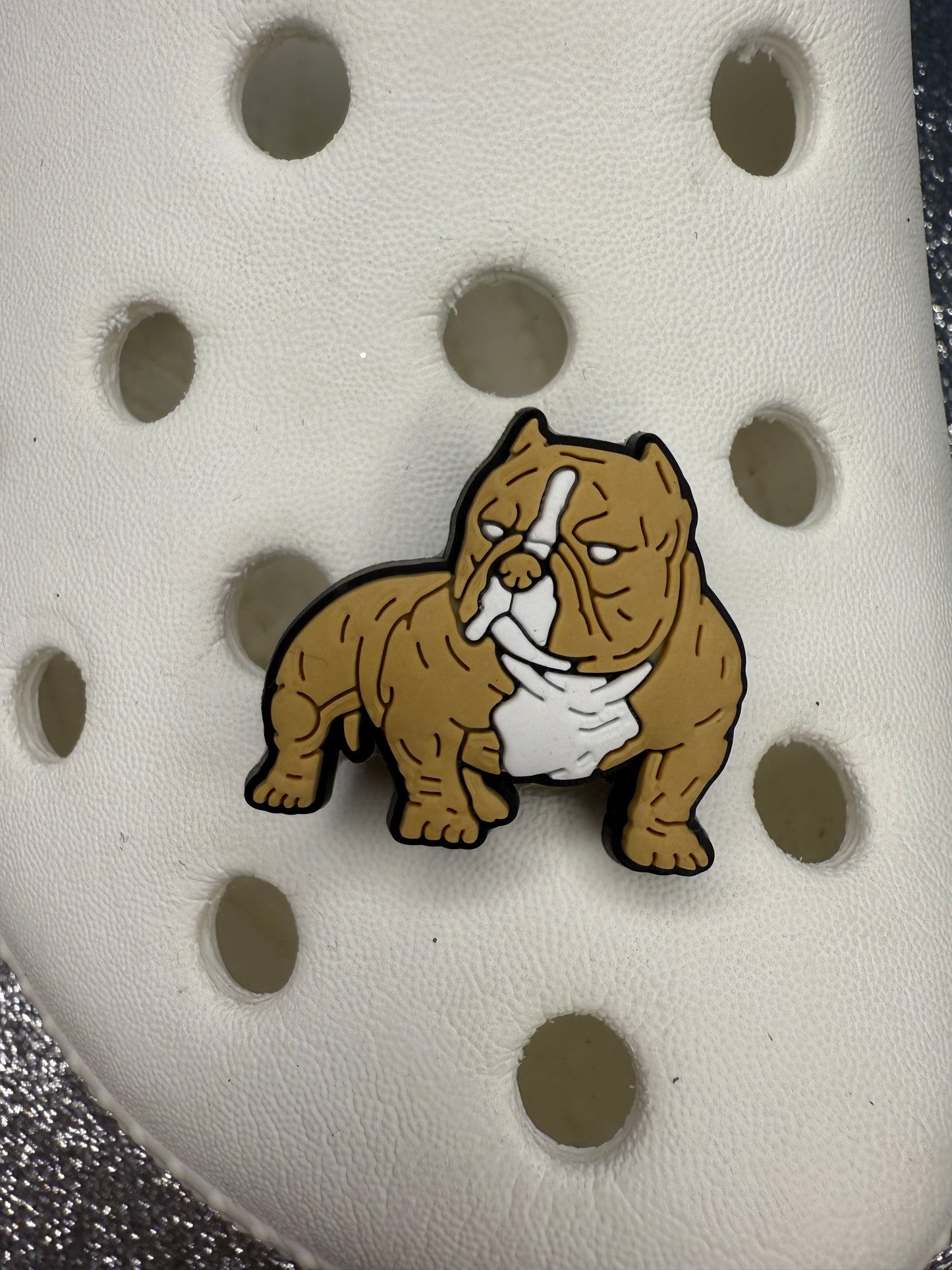 XL bully dog shoe charm collection