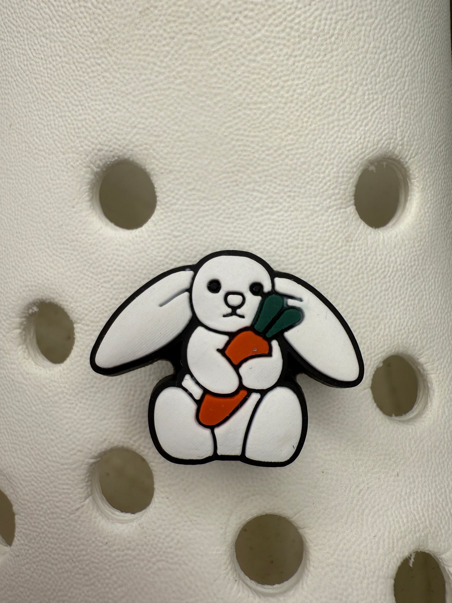 Valentines and Easter animal shoe charm collection
