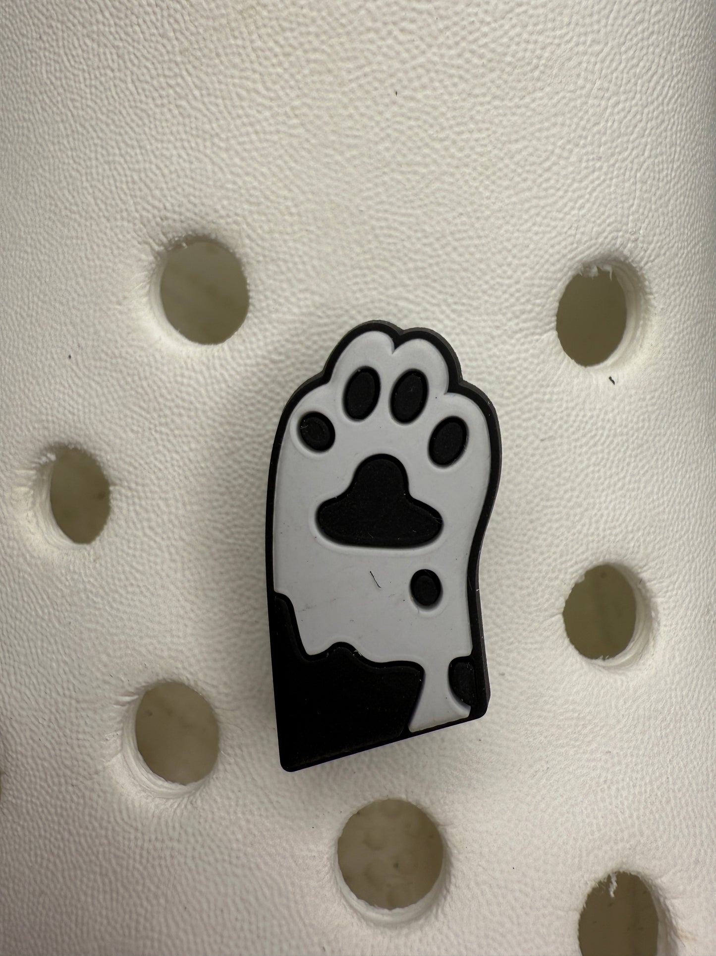 Cats and paw print shoe charm collection