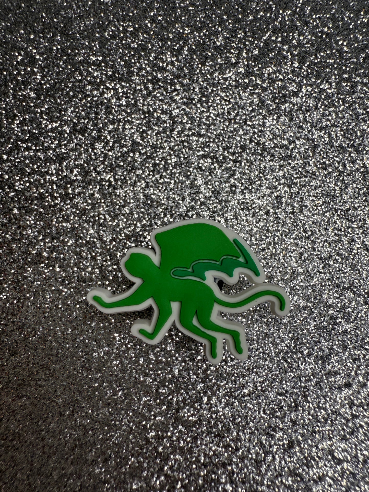 NEW Wicked shoe charm collection