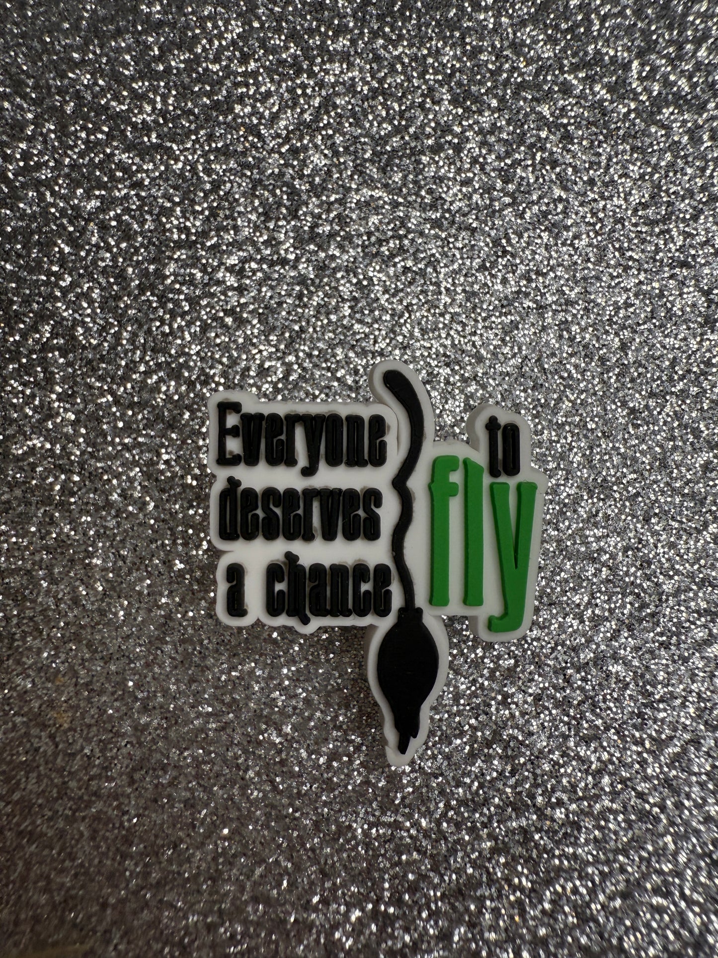 NEW Wicked shoe charm collection