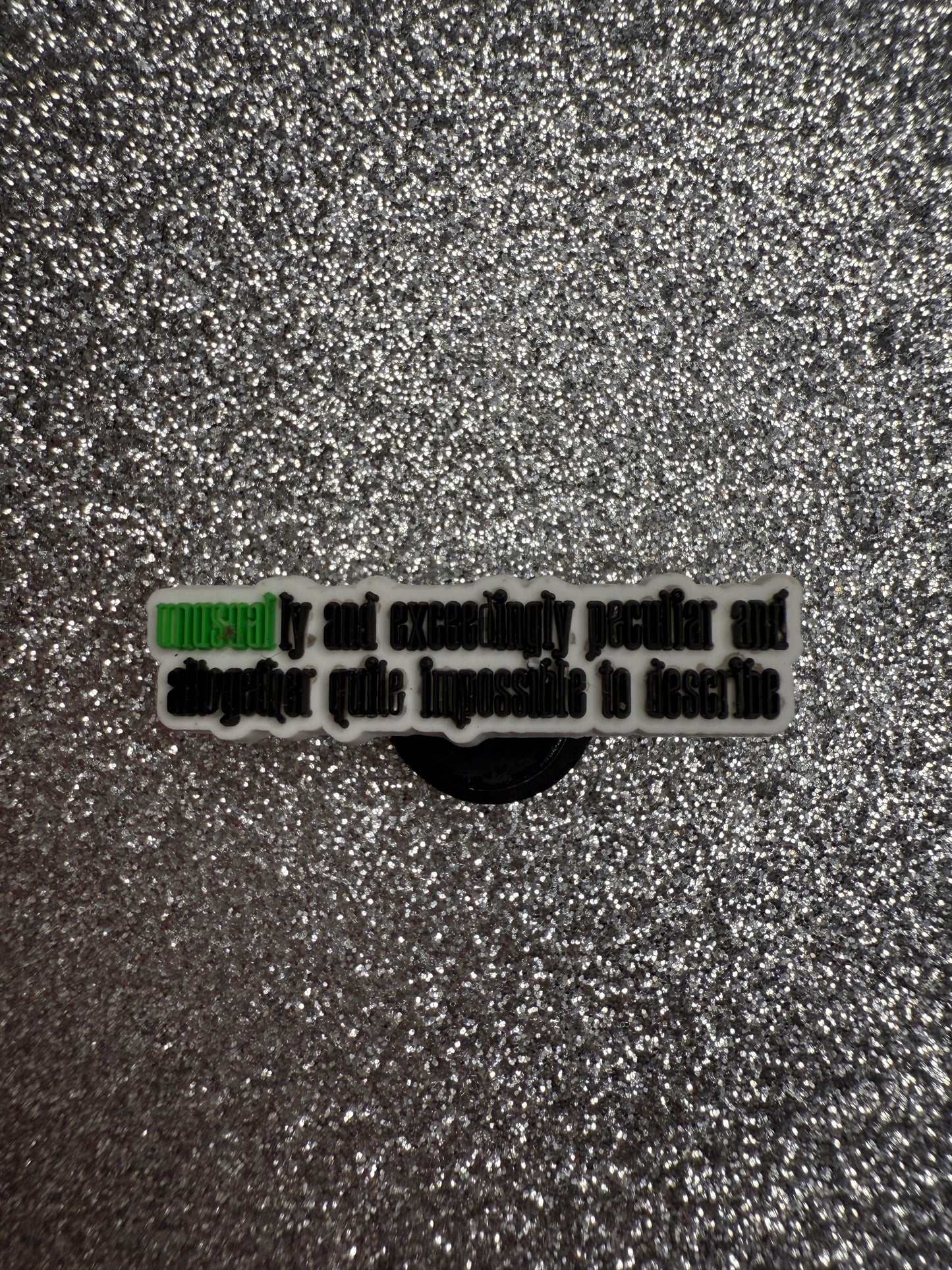 NEW Wicked shoe charm collection