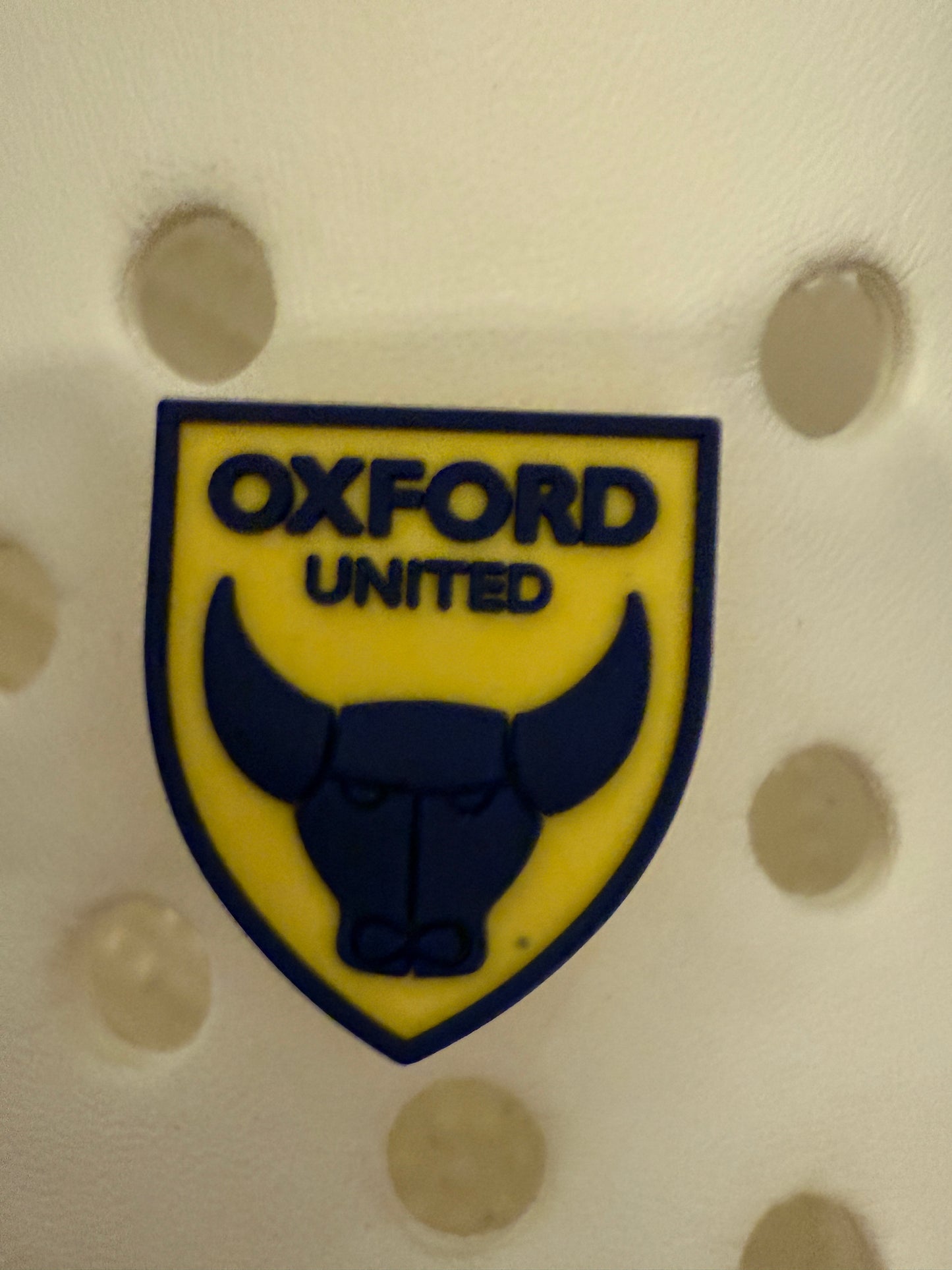 New Footie themed shoe charms 100 TEAMS! - prem champ international