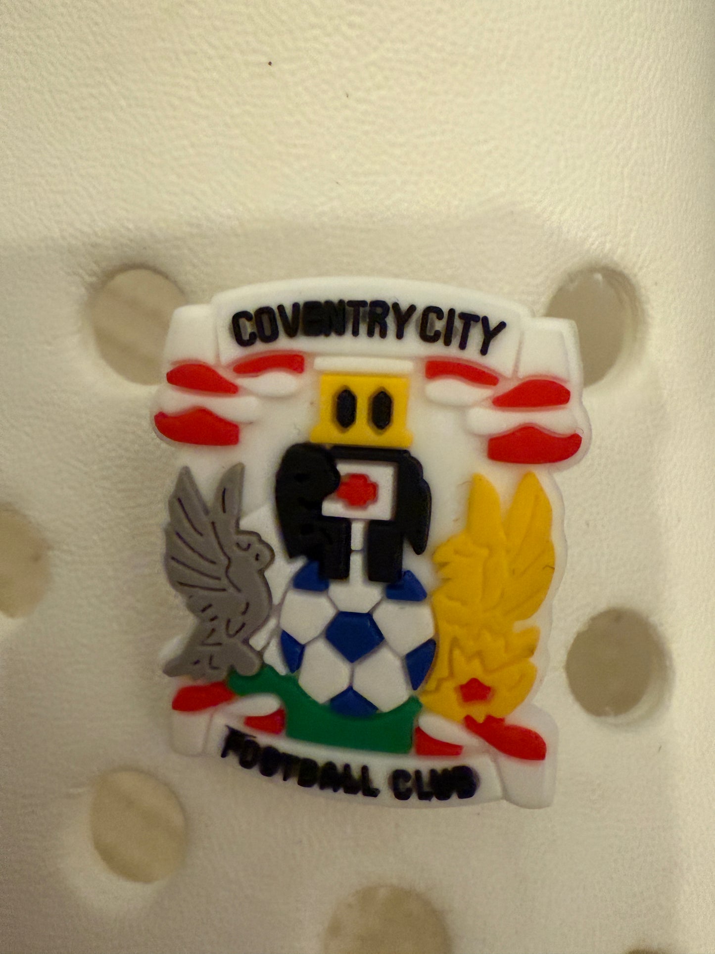 New Footie themed shoe charms 100 TEAMS! - prem champ international