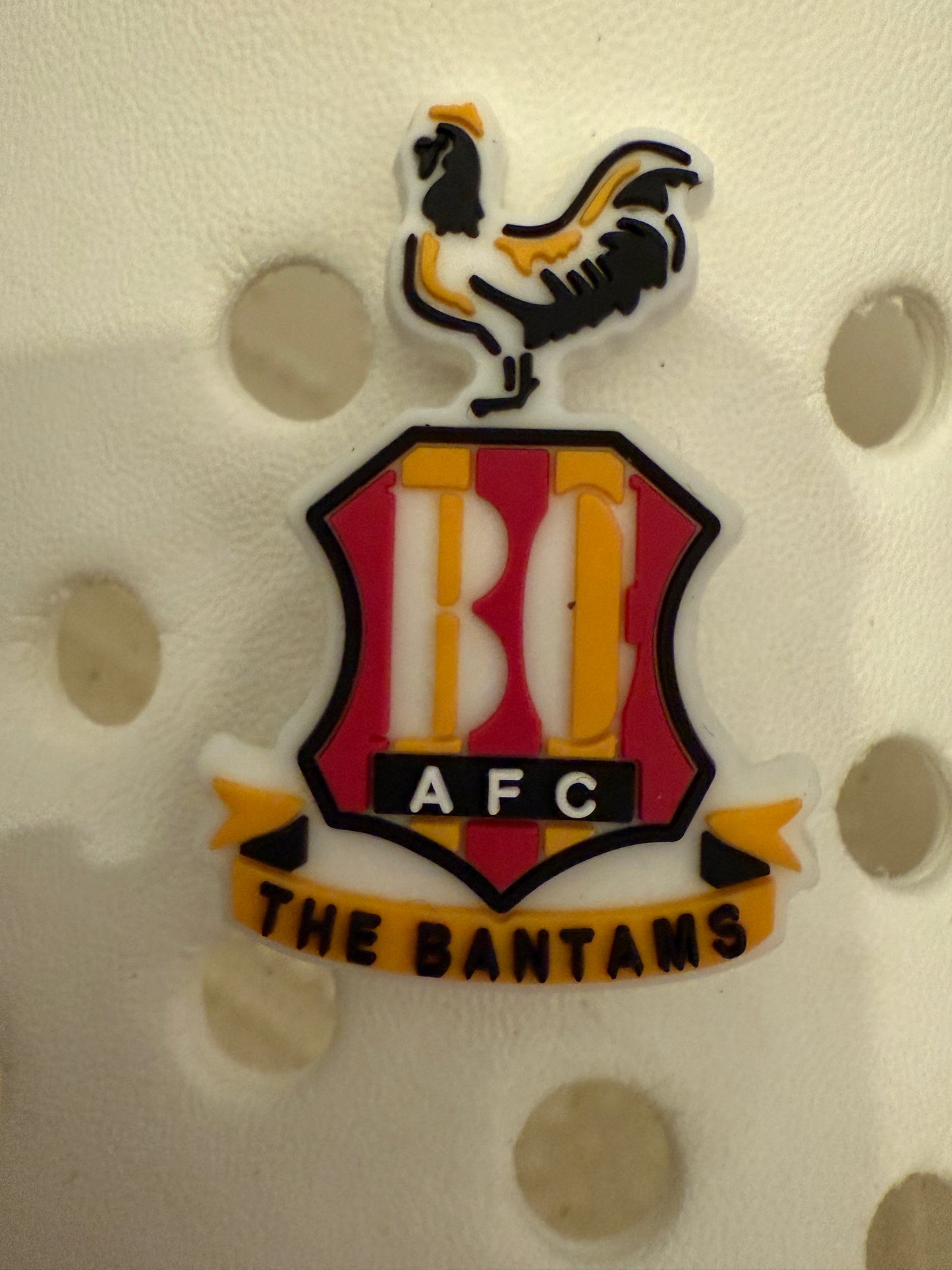 New Footie themed shoe charms 100 TEAMS! - prem champ international