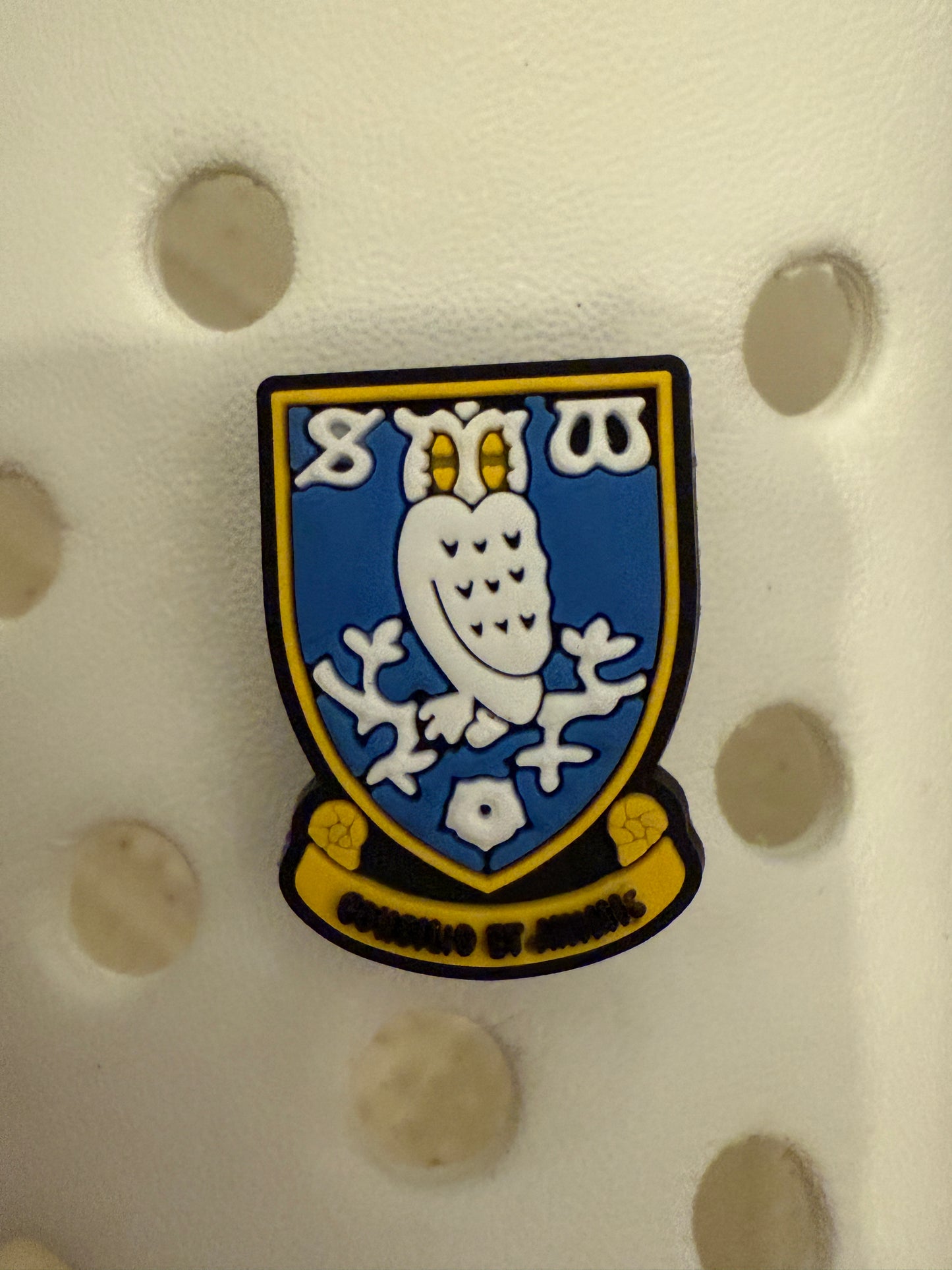 New Footie themed shoe charms 100 TEAMS! - prem champ international