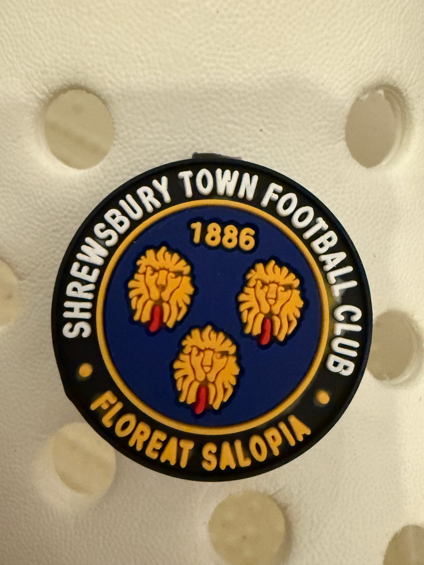 New Footie themed shoe charms 100 TEAMS! - prem champ international