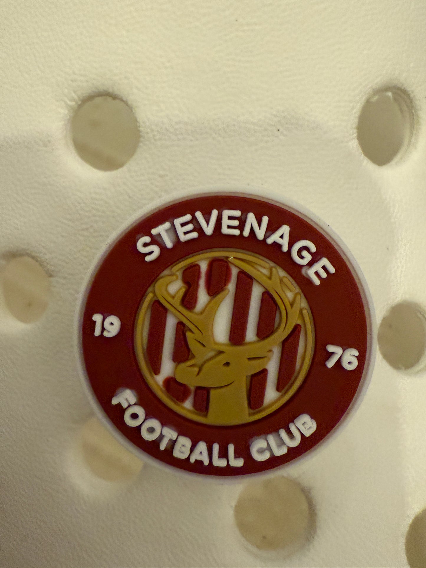 New Footie themed shoe charms 100 TEAMS! - prem champ international