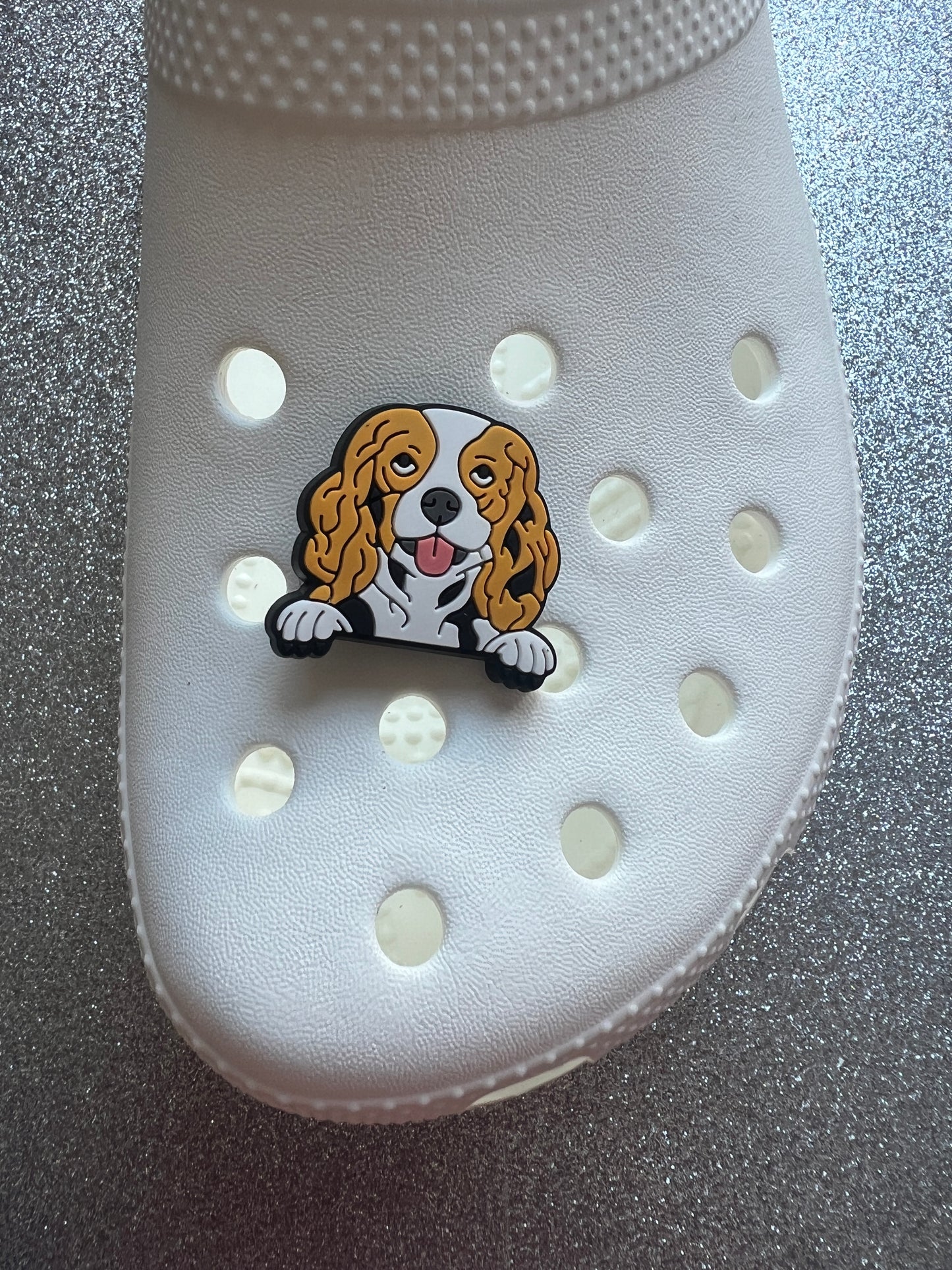 NEW Dog breed shoe charms 30+ breeds