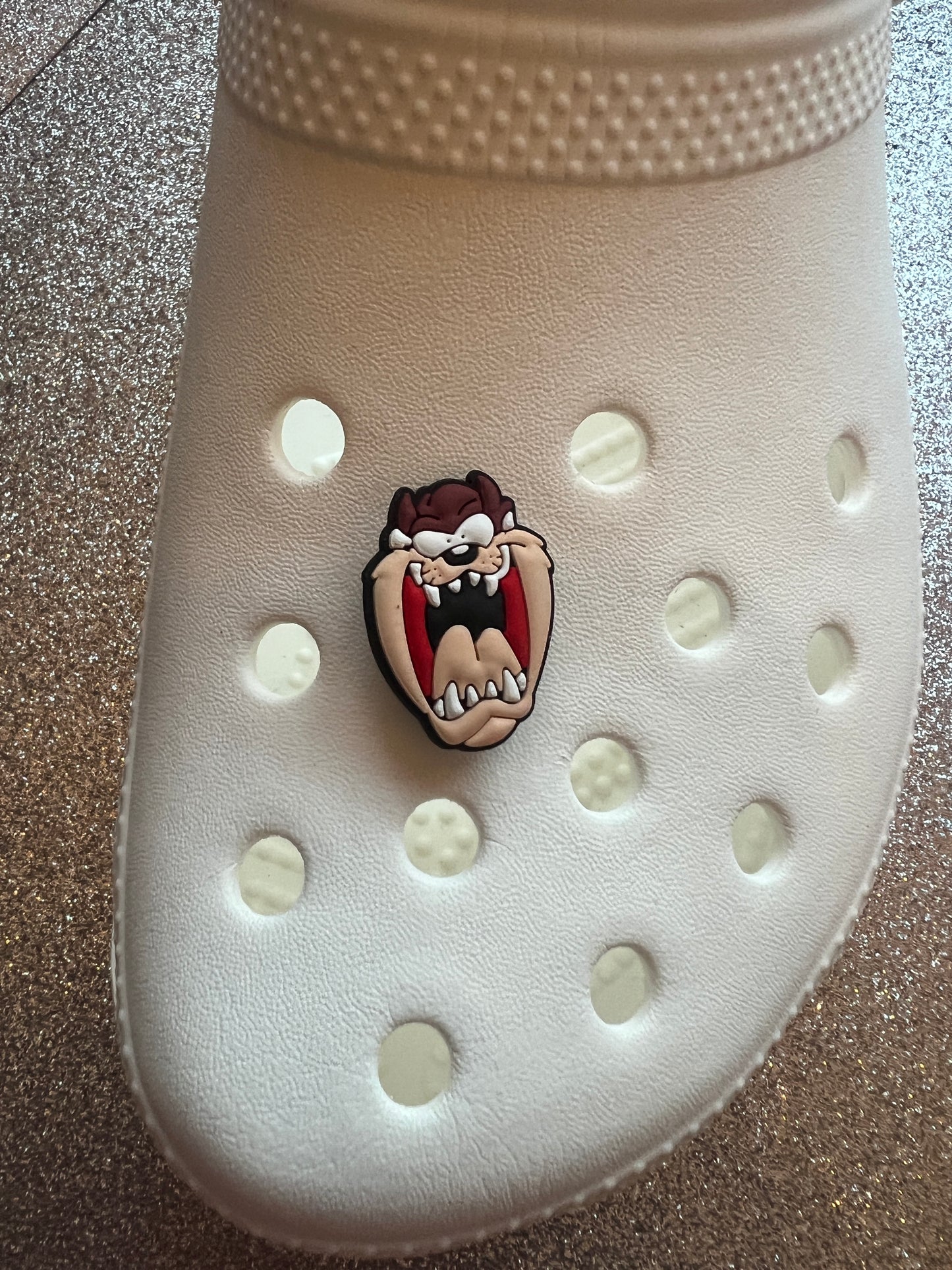 Looney shoe charm collection