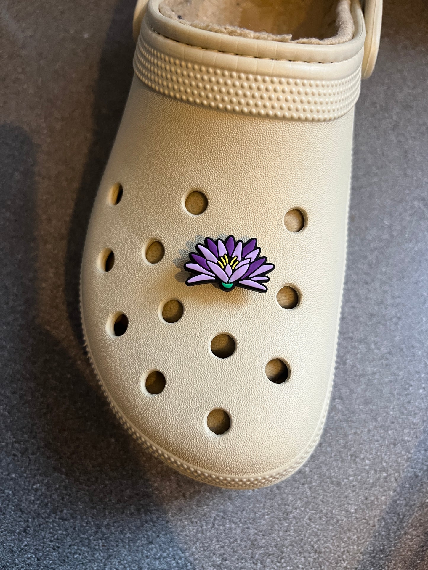 Realism Flower nature shoe charm collection