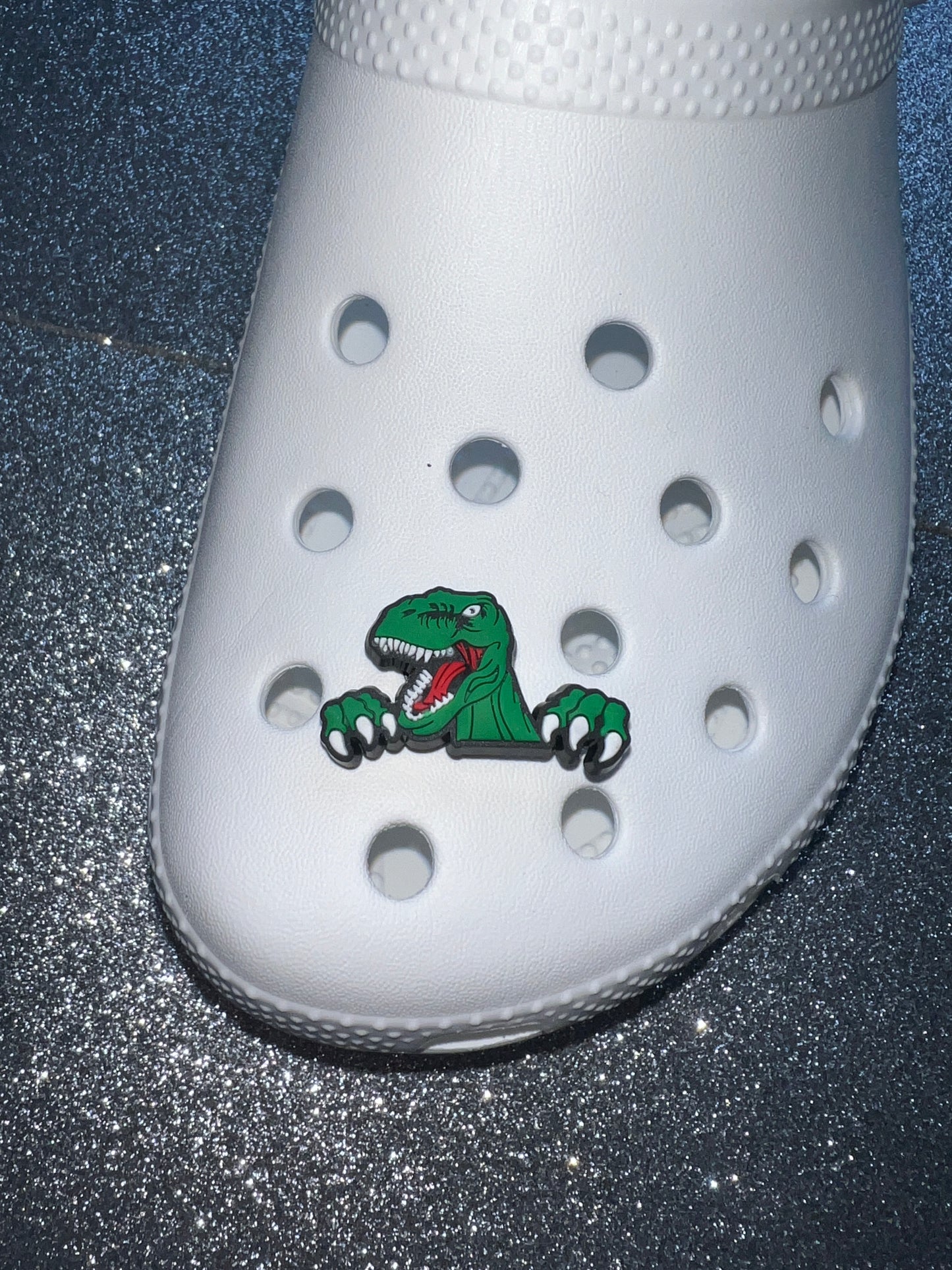 DInosaur park shoe charm collection - jurass1c world