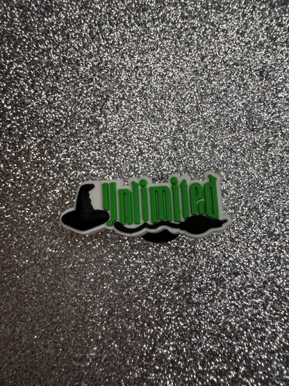 NEW Wicked shoe charm collection
