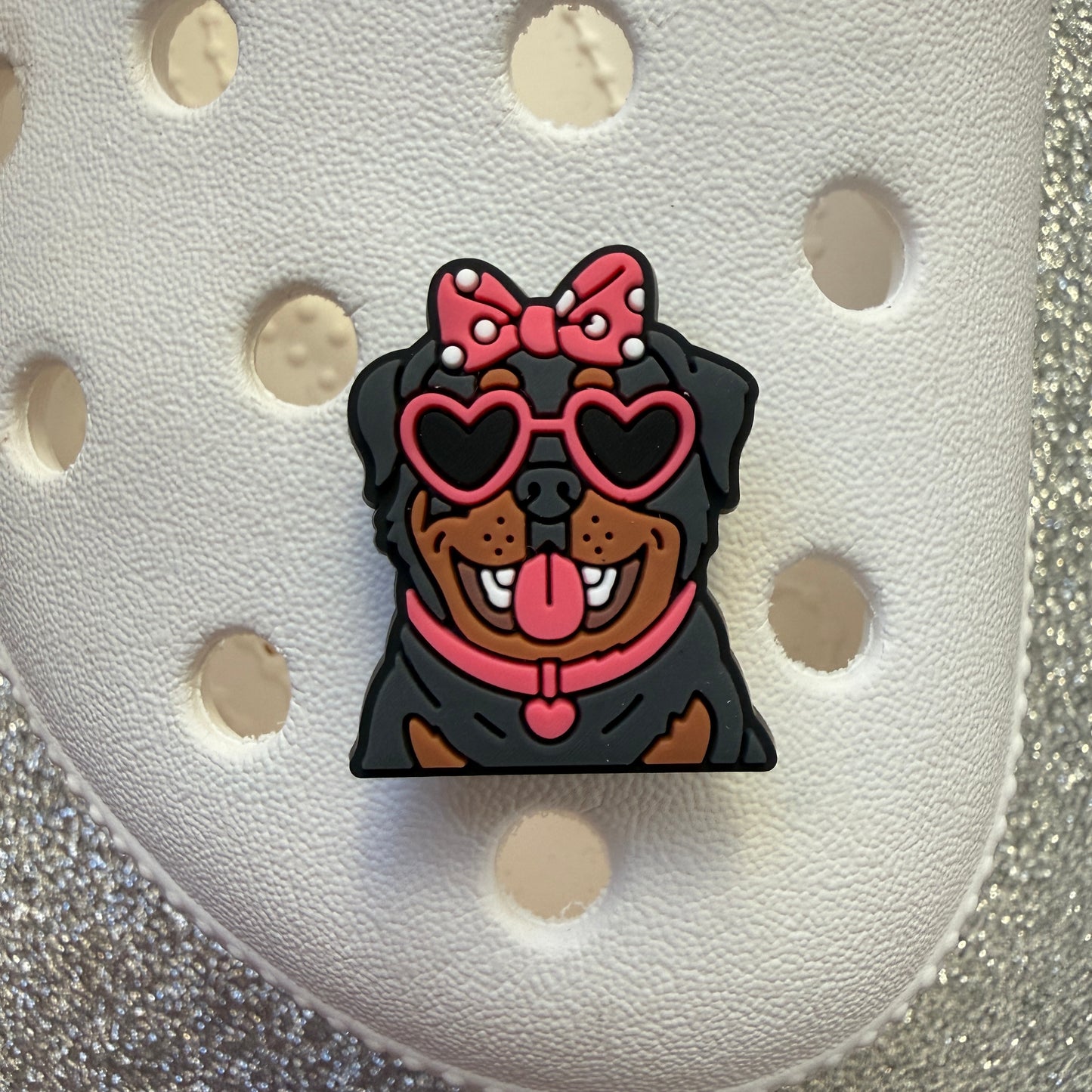 Dog breeds with heart glasses shoe charm collection
