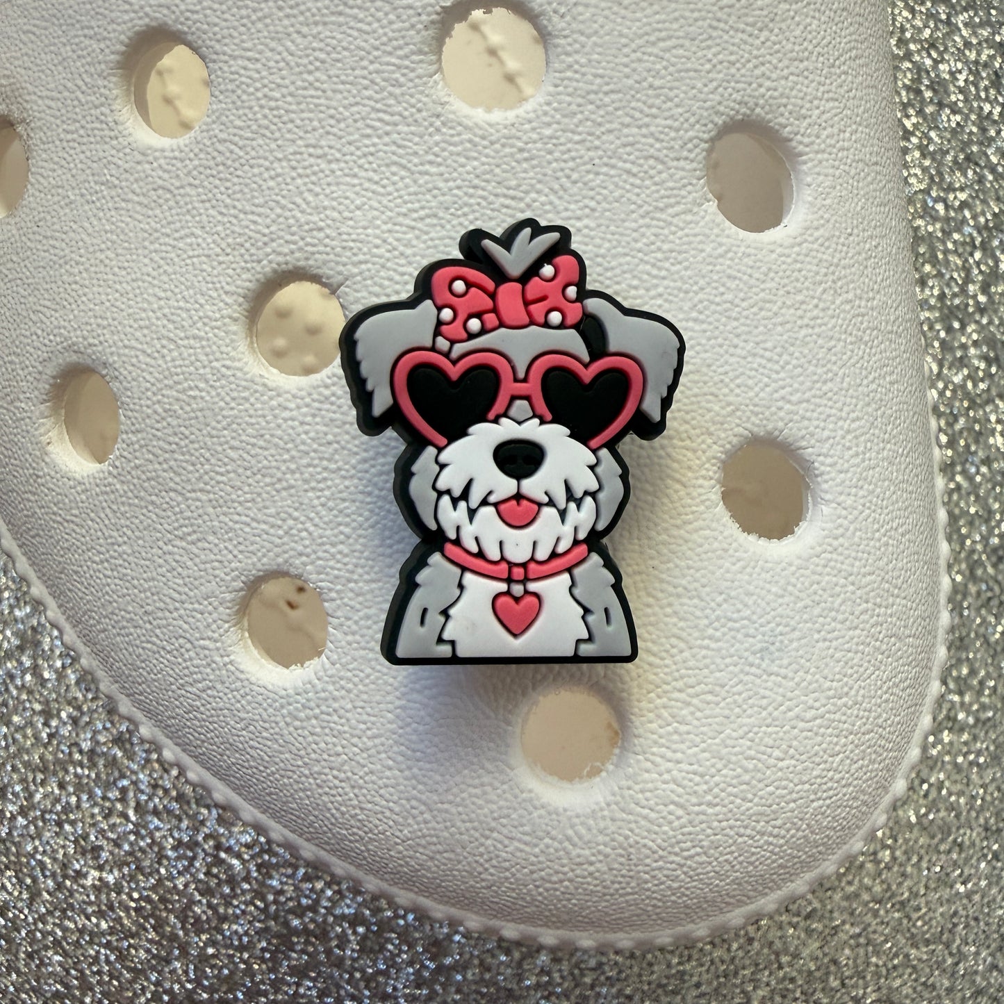 Dog breeds with heart glasses shoe charm collection