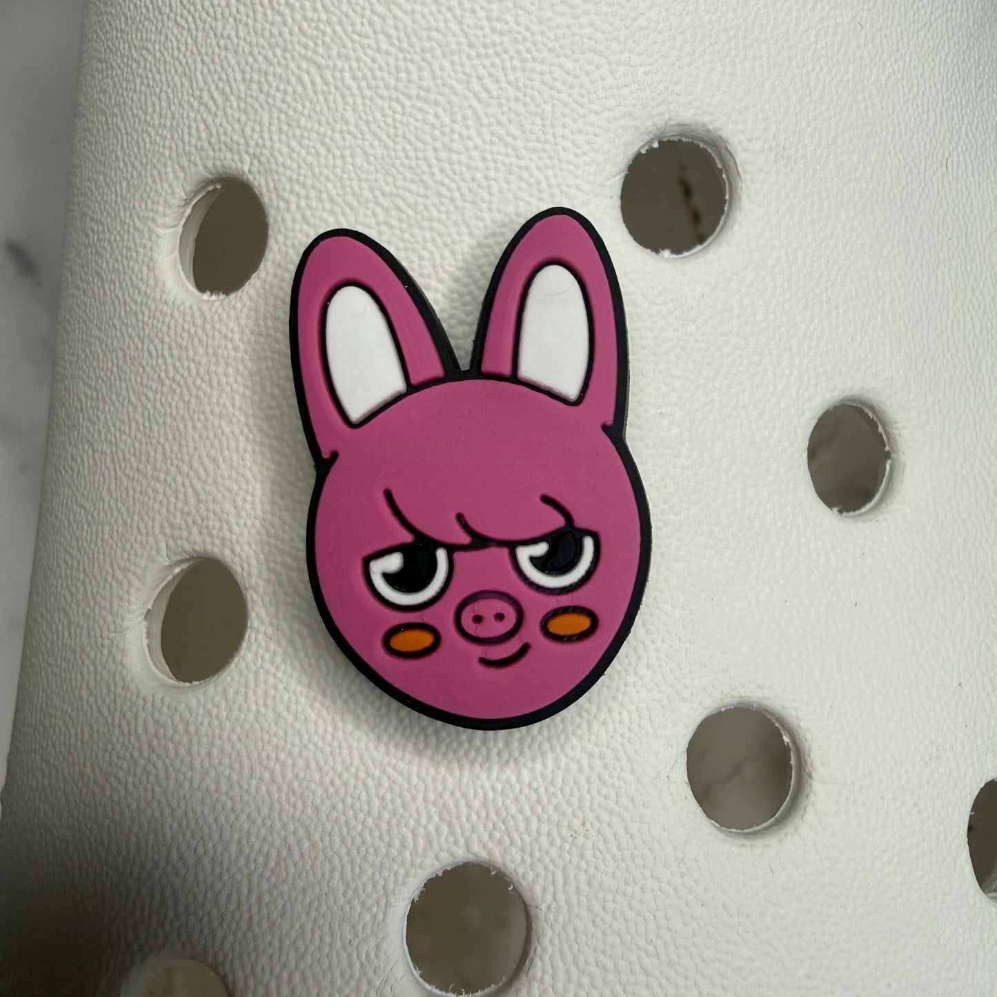 Stray Kidz SKZ SKZOO Characters Kpop shoe charm collection