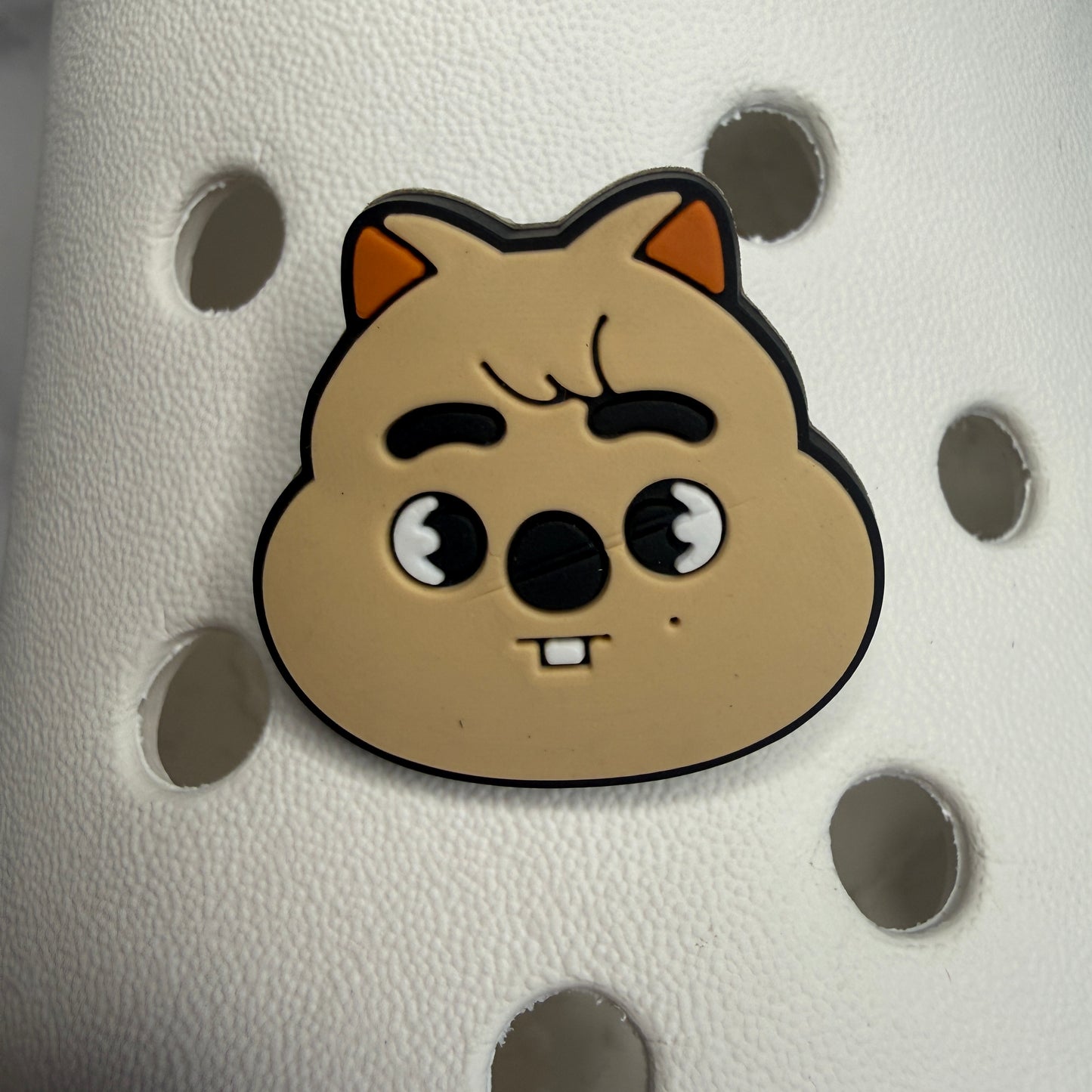 Stray Kidz SKZ SKZOO Characters Kpop shoe charm collection