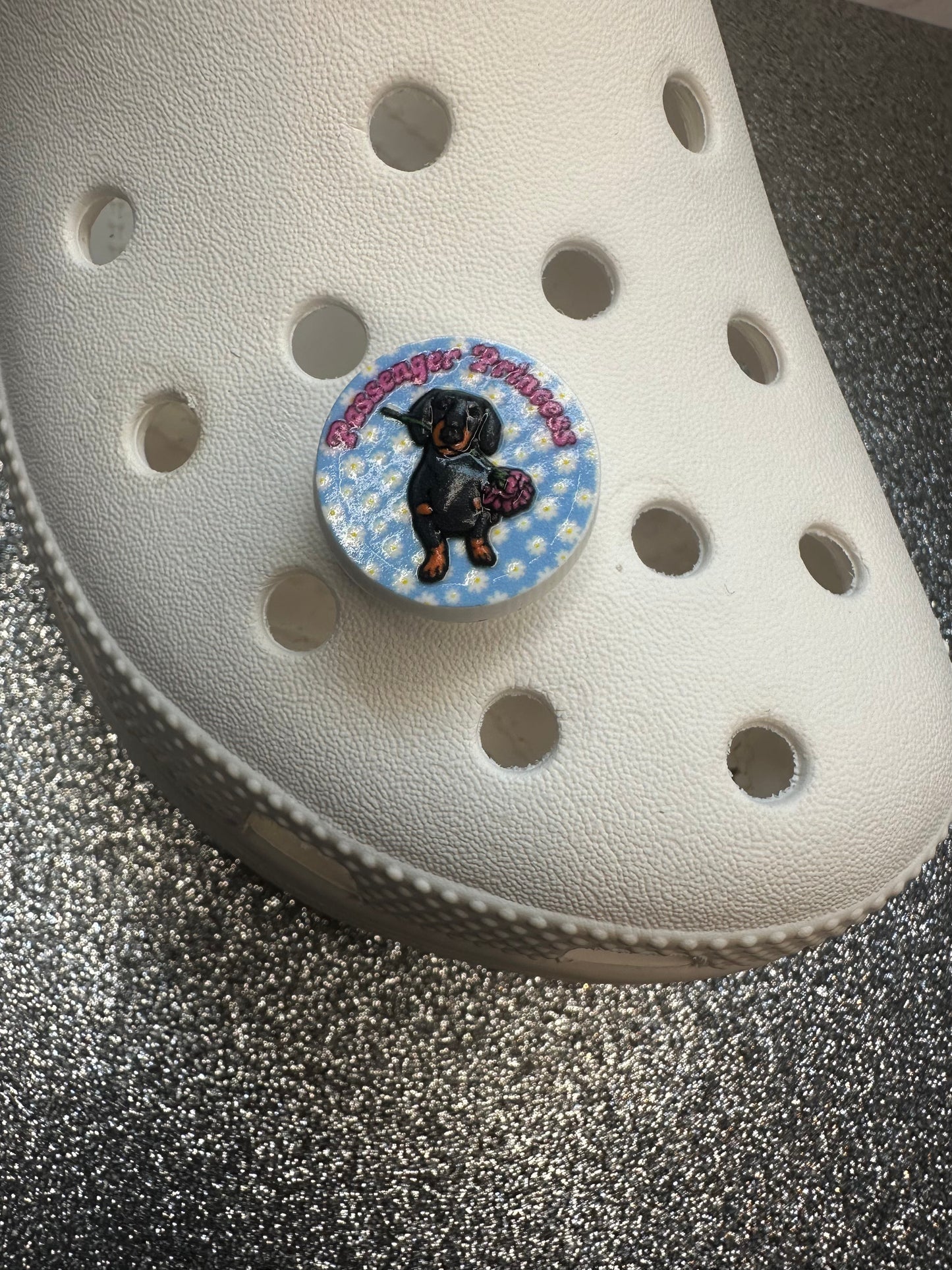 Sausage dog/Dachshund shoe charm collection