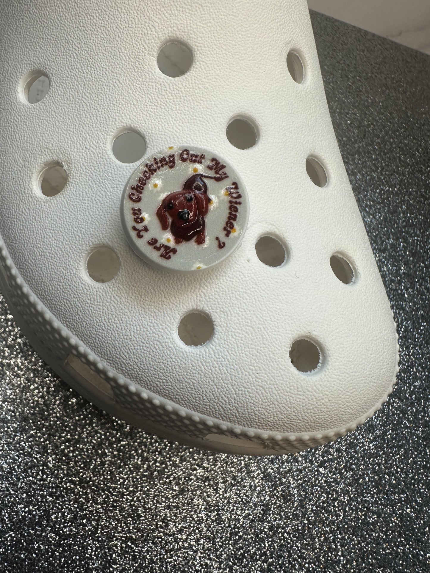 Sausage dog/Dachshund shoe charm collection