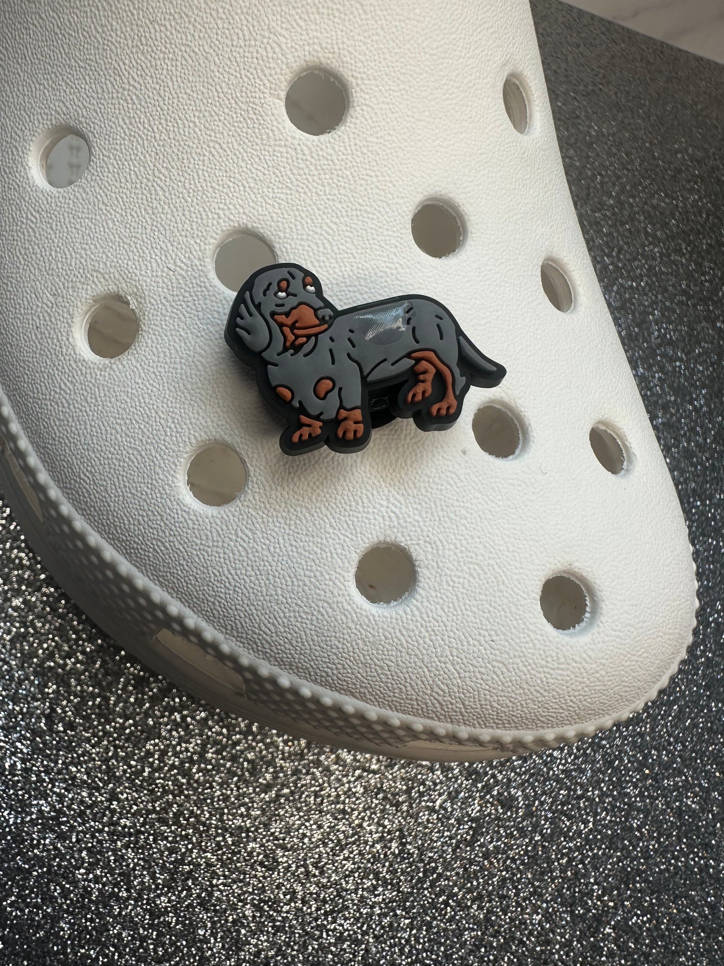 Sausage dog/Dachshund shoe charm collection