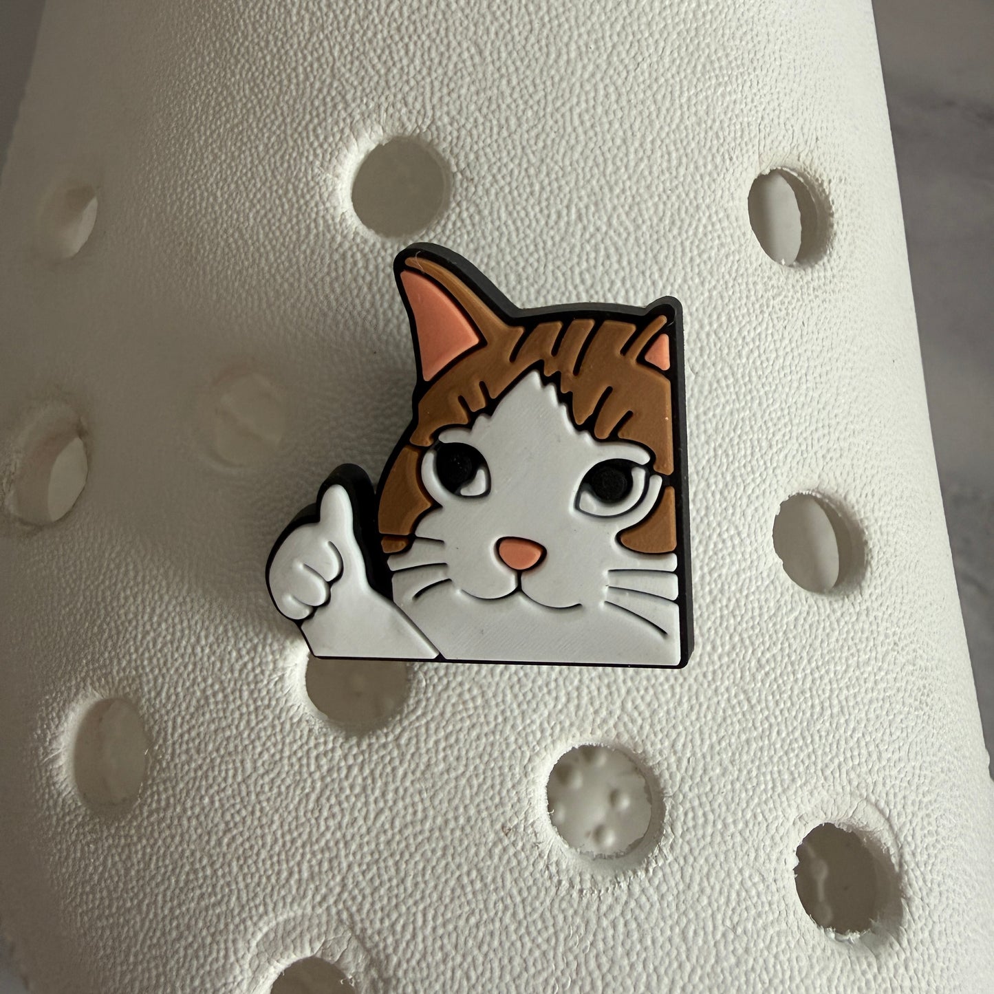 Funny meme cat shoe charm collection